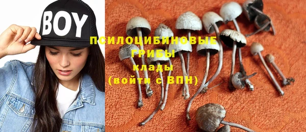 бутират Баксан