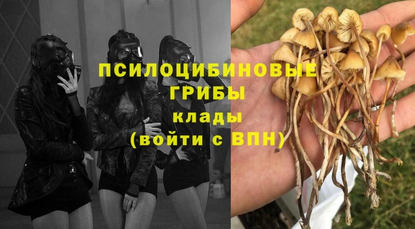 ГАЛЛЮЦИНОГЕННЫЕ ГРИБЫ Балабаново