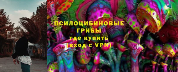 ГАЛЛЮЦИНОГЕННЫЕ ГРИБЫ Балабаново