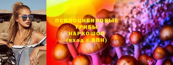 apvp Балахна