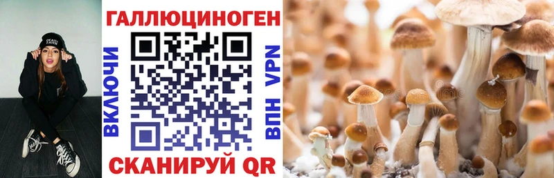 Псилоцибиновые грибы прущие грибы  Билибино 